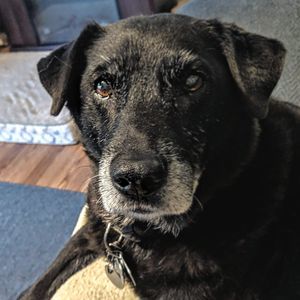 Meet your Posher, Cathy